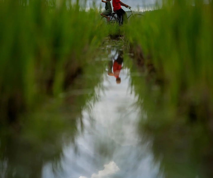 Gallery of photography by Octav Andy-Indonesia