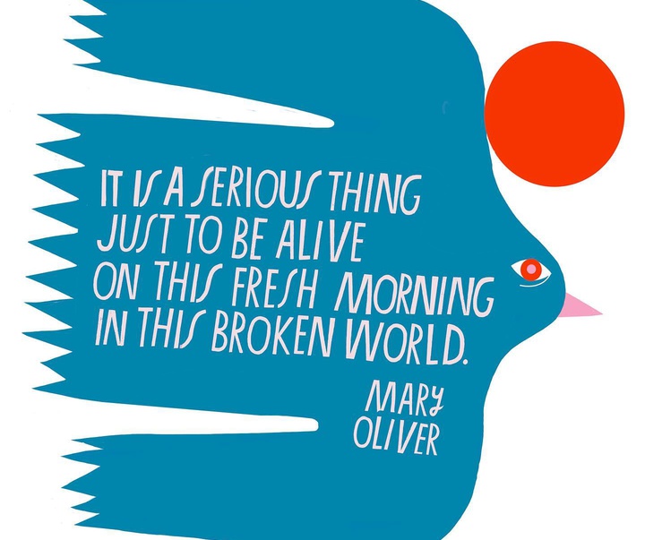 Gallery of Illustration by Lisa Congdon-USA