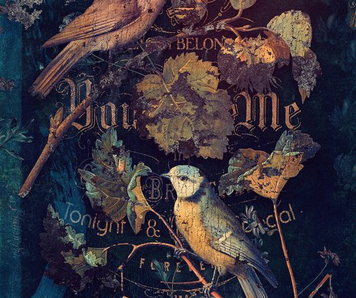 Gallery of Illustration by Eduardo Recife - Brazil