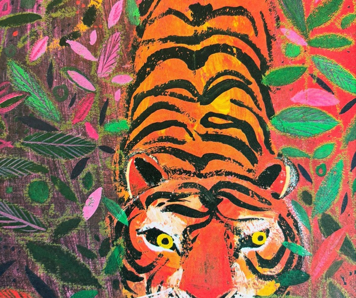 Gallery of Illustration by Brian Wildsmith - UK