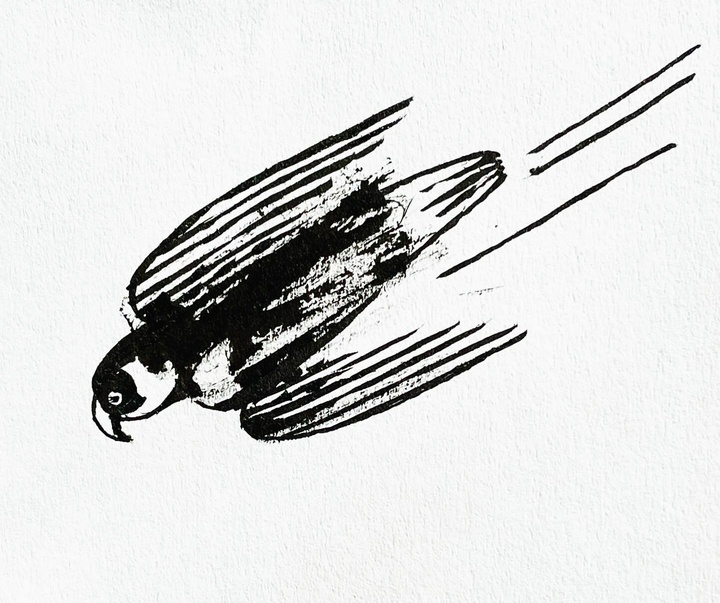 Gallery of Illustration by Jochen Gerner - France
