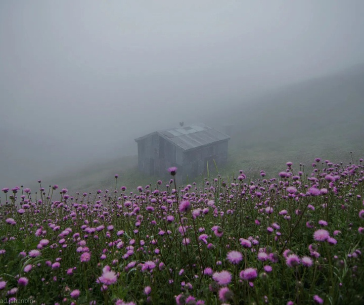 Gallery of Photography by Javad Jahanbin- Iran