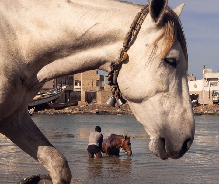 Gallery of photography by Skander Khalif-Tunisia