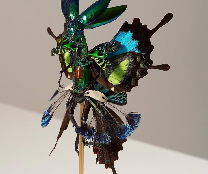 Gallery of Sculpture by Cedric Laquieze - USA