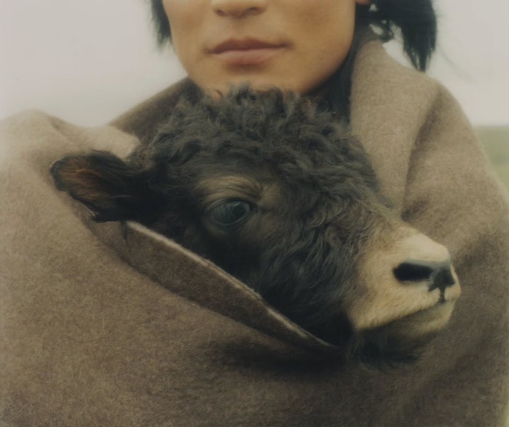 Gallery of Photography by kin chan coedel - Paris/Shanghai