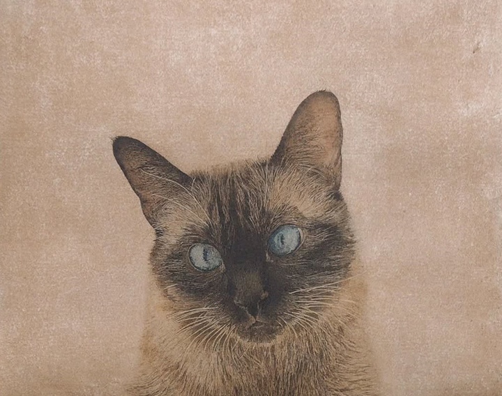 Gallery of Painting by Marta de la Sota Cores - Spain