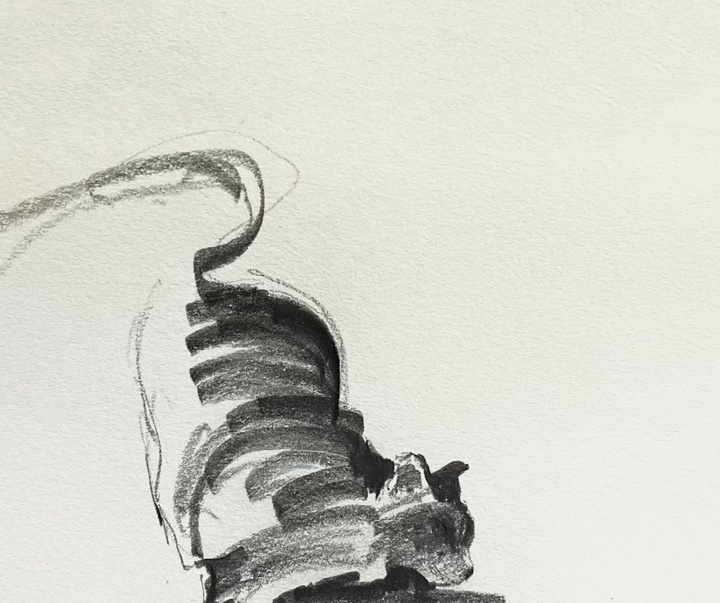 Gallery of Drawing by Shou Xin - China