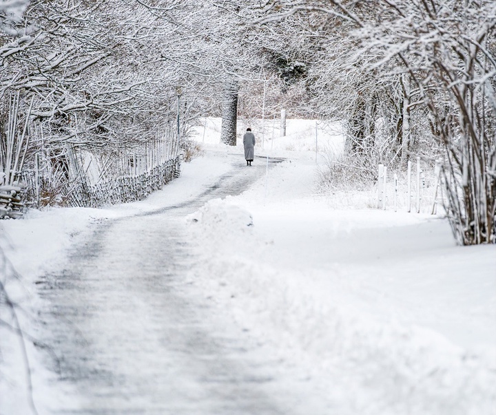 Gallery of Photography by Samsul Alam Al-Majidi - Sweden