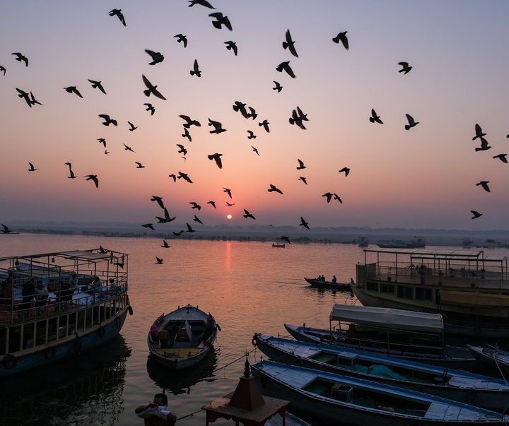 Gallery of Photography by Shreenivas Yenni - India