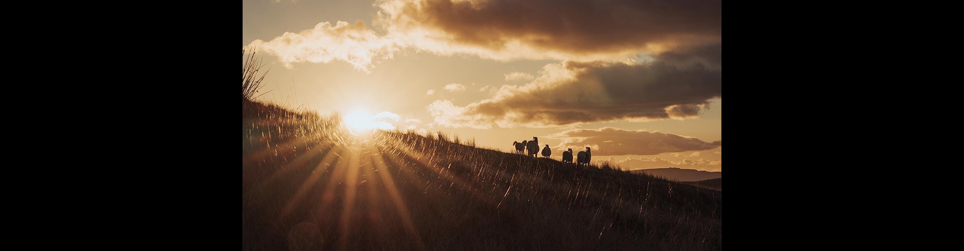 Gallery of Photography by Gareth Llewellyn - Wales