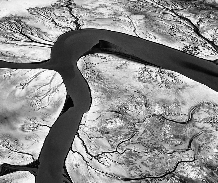 Gallery of Photography by Paul Nicklen - Canada