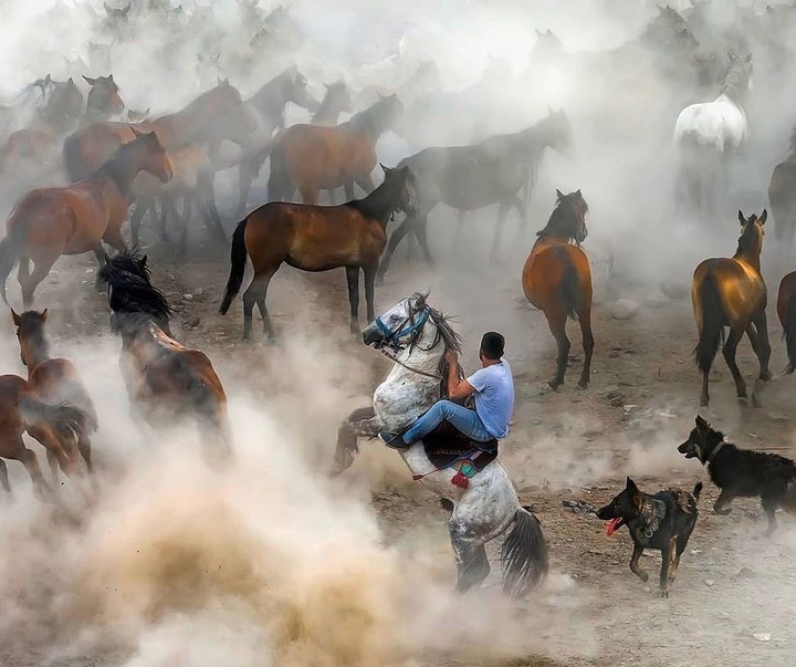 Gallery of Photography by F. Dilek Yurdakul - Turkey