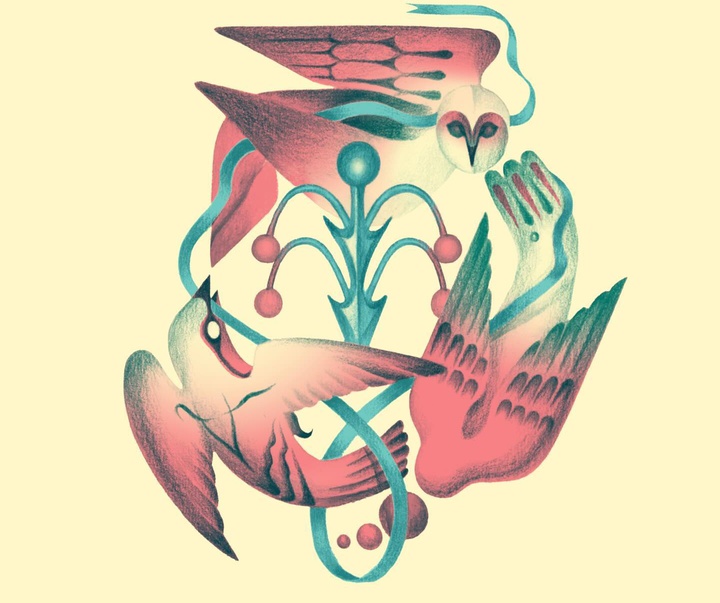 Gallery of Illustration by Ada Zejun Shen - USA