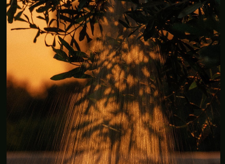 Gallery of Photography by Joe Clarke - UK