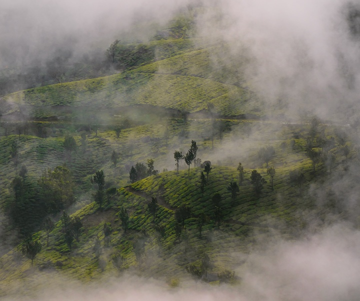 Gallery of Photography by Nishchay Bharati Jain - India