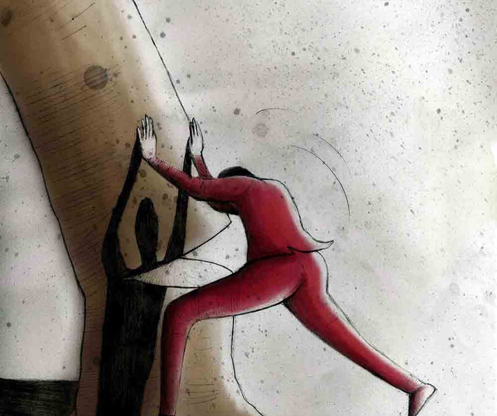 shahin houshmand