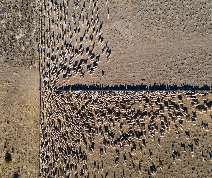 Gallery of Photography by James Harrison - Australia