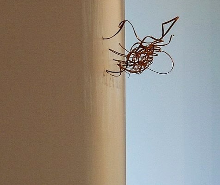 Gallery of Sculpture by Fred Eerdekens - Belgium