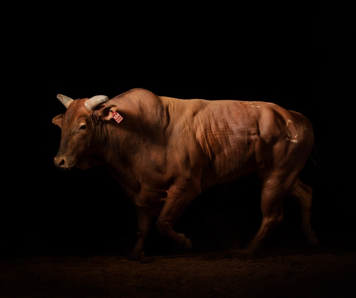 Gallery of Photography by Constance Jaeggi - Switzerland