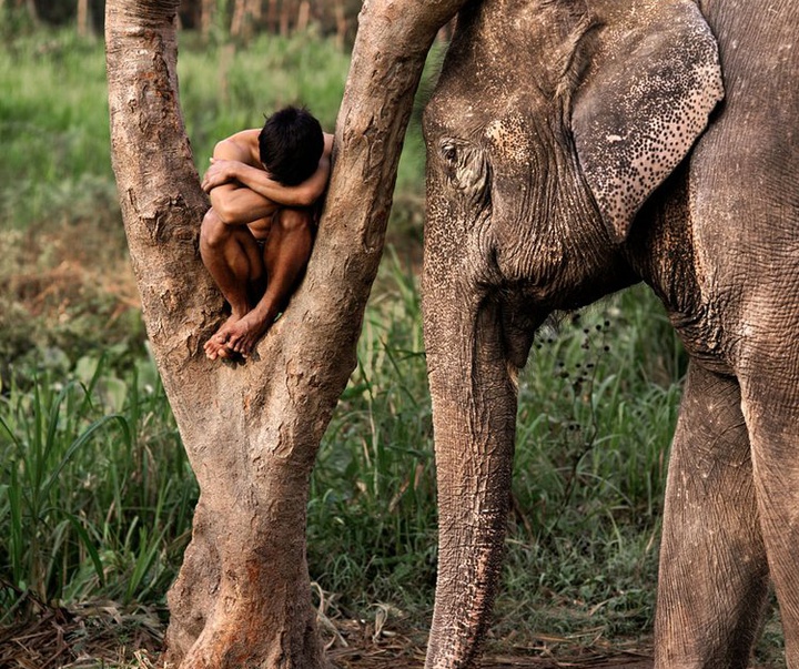 Gallery of Photography by Steve McCurry - USA