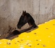Gallery of Photography by Tavepong Pratoomwong - Thailand
