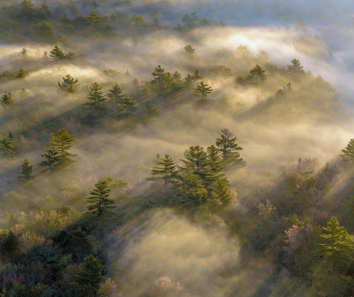 Gallery of Photography by Joanna Steidle - USA