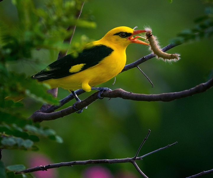 Gallery of Photography by Mithun Hunugund