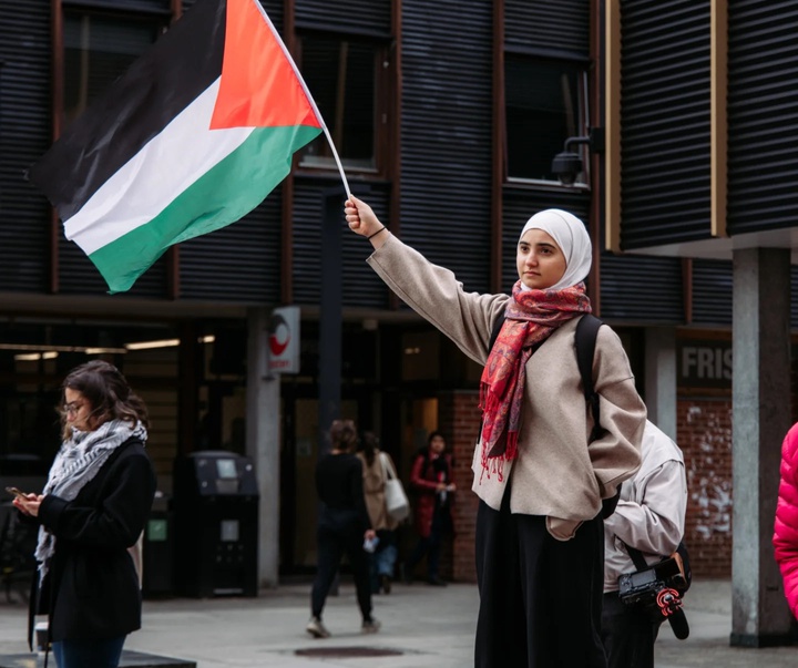 Gallery of Photography by Eyad Al Zaro - Palestine