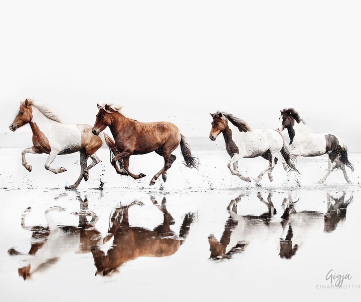 Gallery of Photography by Gigja Einars - Iceland