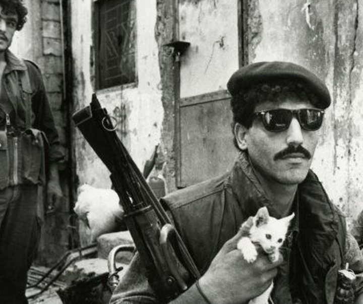 Gallery of Photography - War Photography