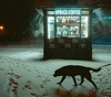Gallery of Photography by Viktor Balaguer - France