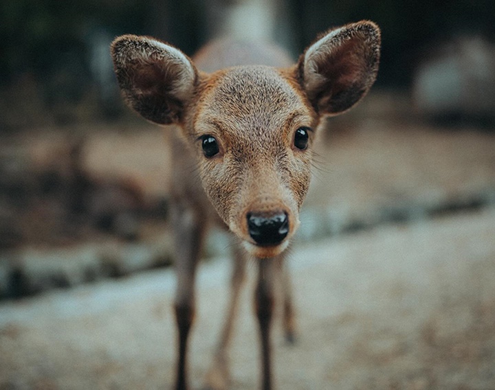 Gallery of Photography by Luke Stackpoole - UK