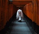 Gallery of Photography by Takashi Yasui - Japan