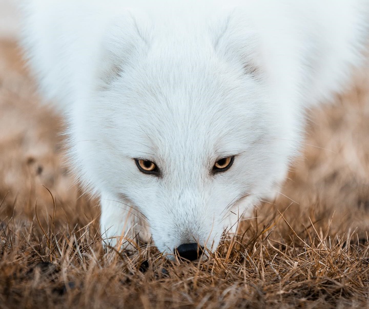 Gallery of Photography by Dani Guindo - Spain