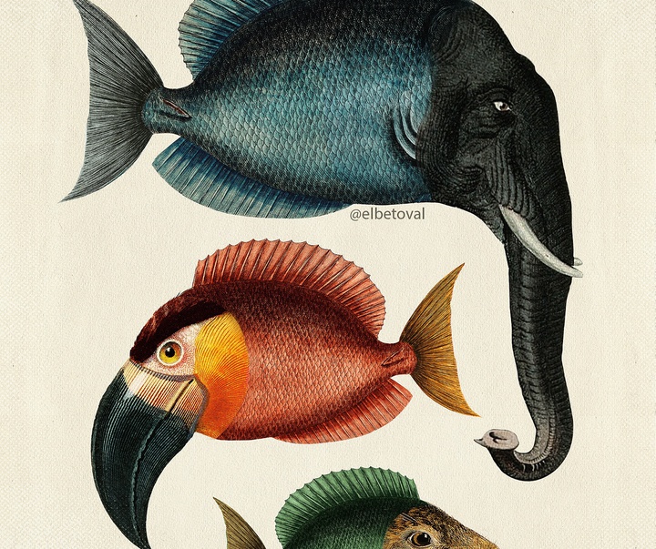 Gallery of Illustration by Beto Valencia - Ecuador