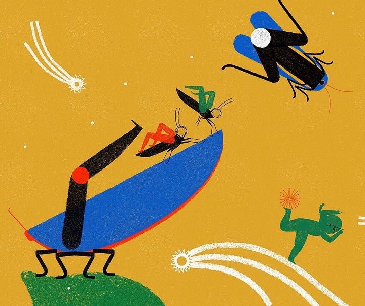 Gallery of Illustrations by amanda mijangos - Mexico