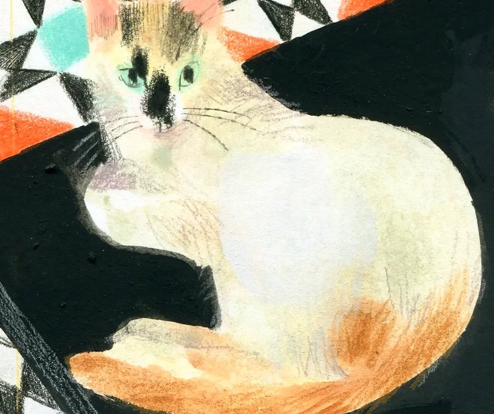 Gallery of Illustration by Raquel Catalina - Spain
