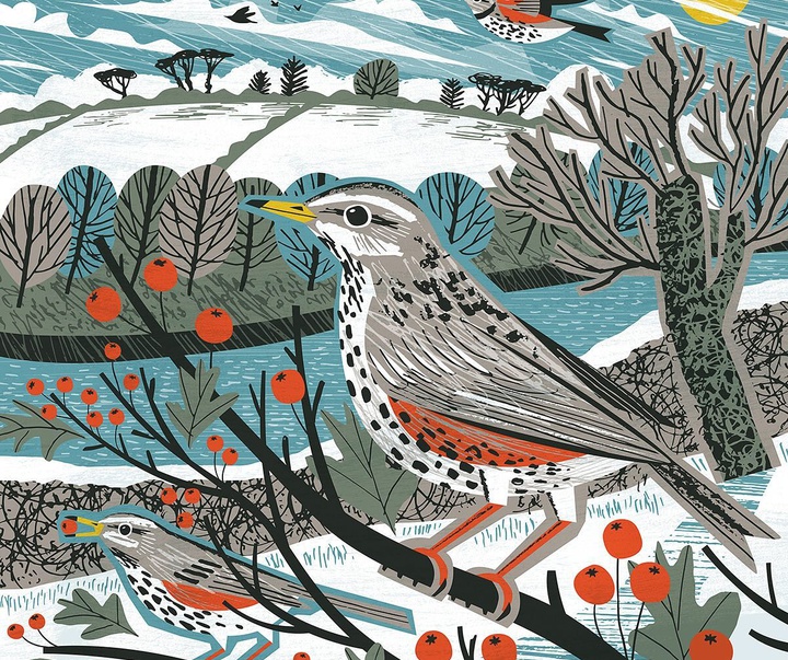 Gallery of Illustration by Matt Johnson - UK