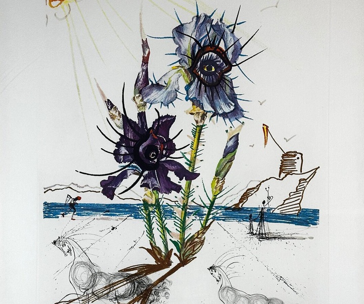 Gallery of Salvador Dali lithographs and metal engravings-Spain