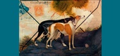 Gallery of Illustration by Eduardo Recife - Brazil