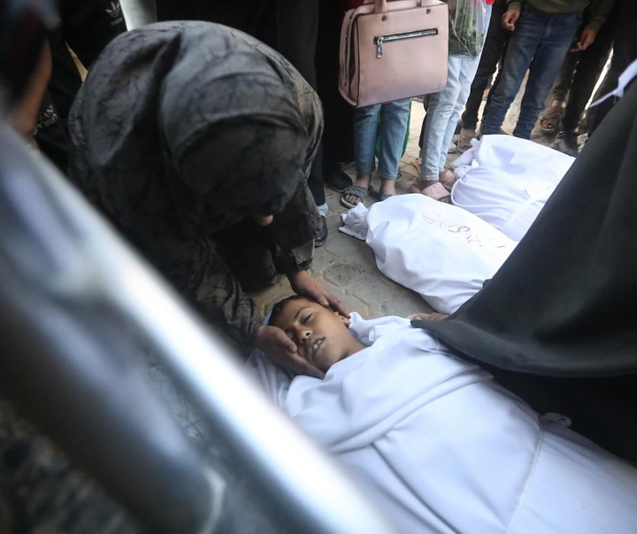 Gallery of Photography by Mohammed Zaanoun - GAZA