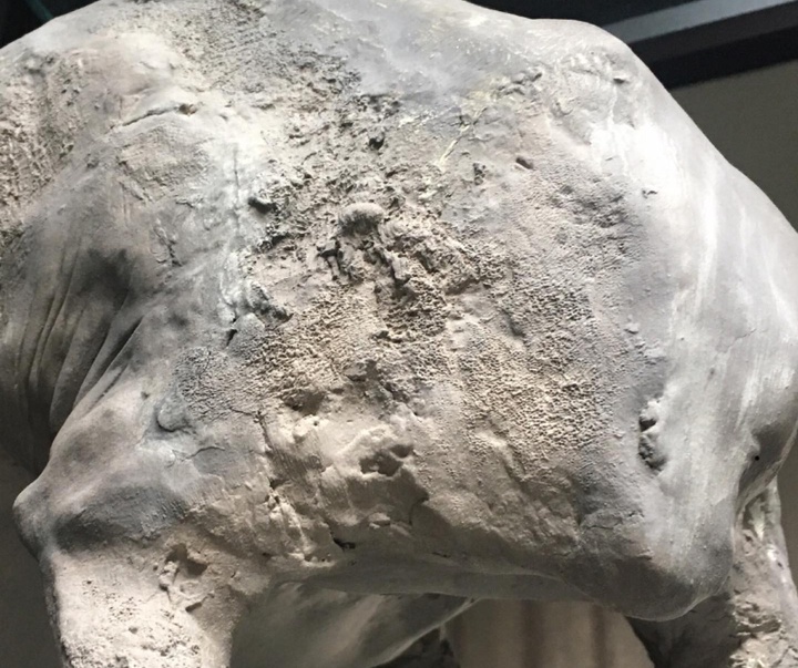 Gallery of sculpture by Patrycja Sipa - Poland