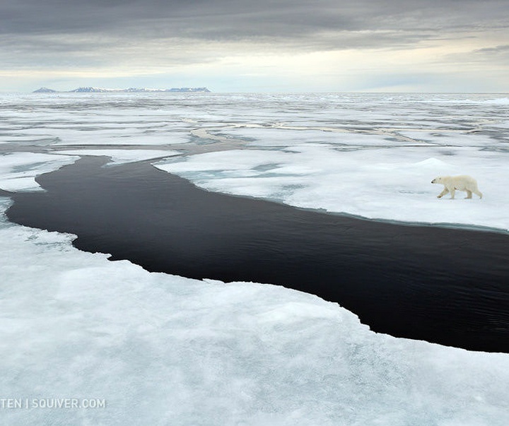 Gallery of Photography by Marsel van Oosten- Netherlands