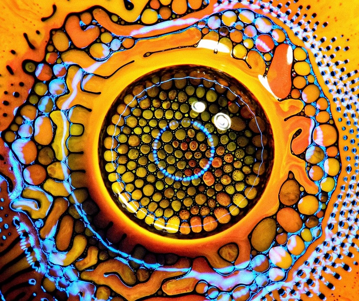 Gallery of Modern Art by Kamil Czapiga - Poland