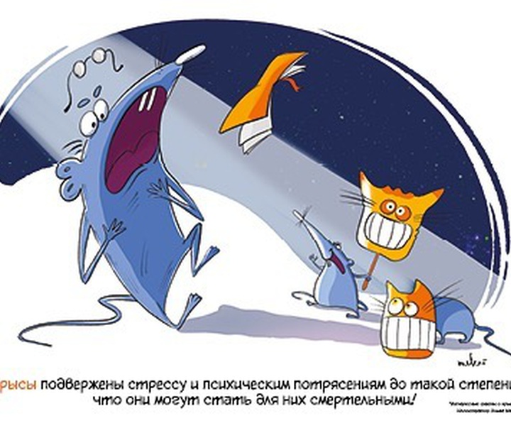 Gallery of Illustration byOlga Melekh -Russia