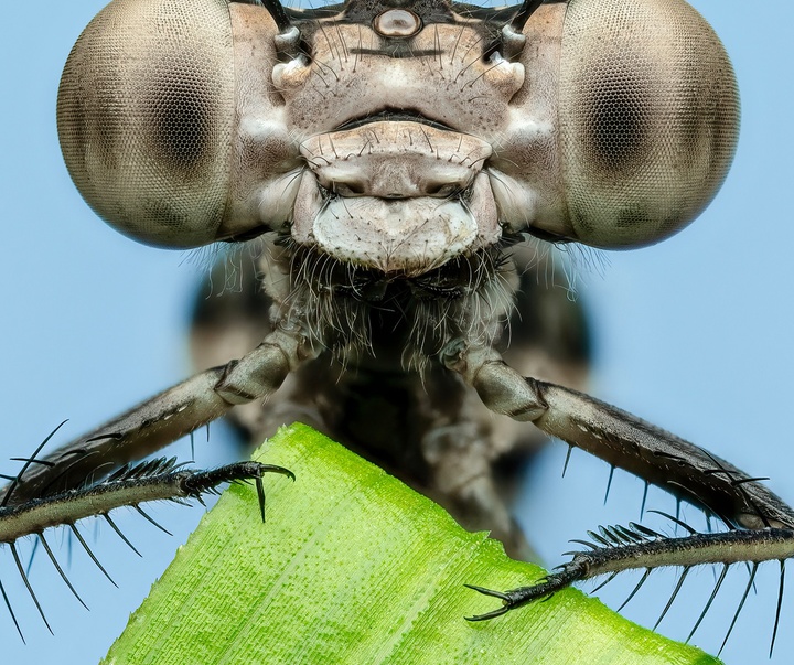 Gallery of Photography by Ben Salb - USA