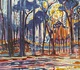 Landscape of the forest near Ouelle