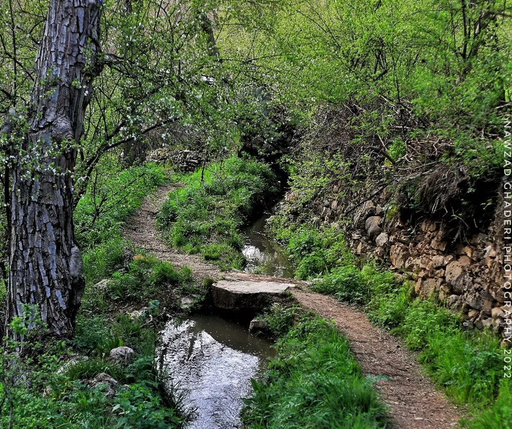 Gallery of photography by Nawzad Ghaderi - Iran