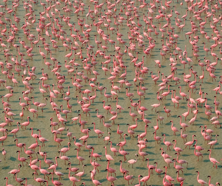 Gallery of Photography by Nishchay Bharati Jain - India