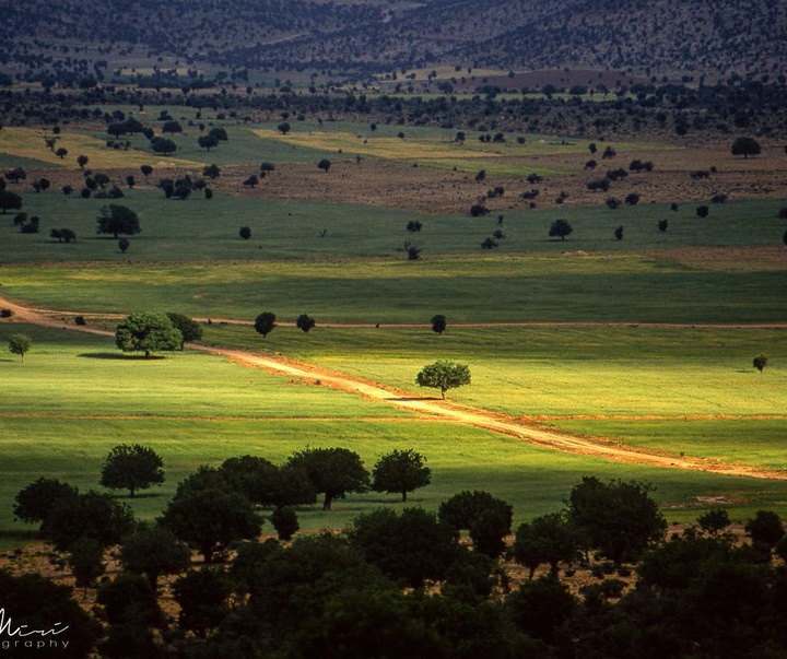 Gallery of photography by Sadegh Miri-Iran